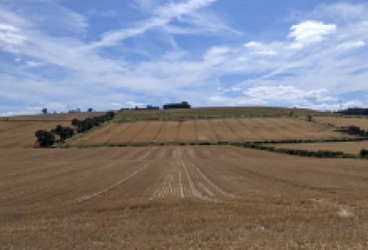 Flodden Battlefield景点图片