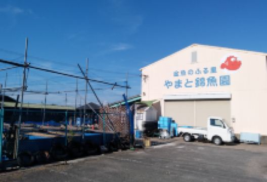 郡山金魚資料館景点图片