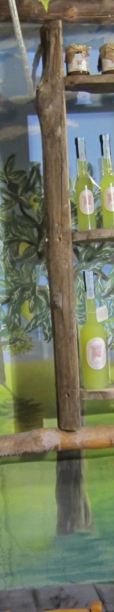 I Giardini di Cataldo-索伦托