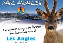 Animal Park Angles in Capcir景点图片