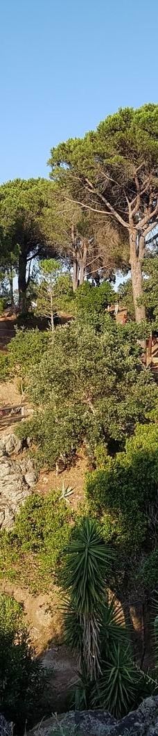 Parc de Valmy-滨海阿热莱斯