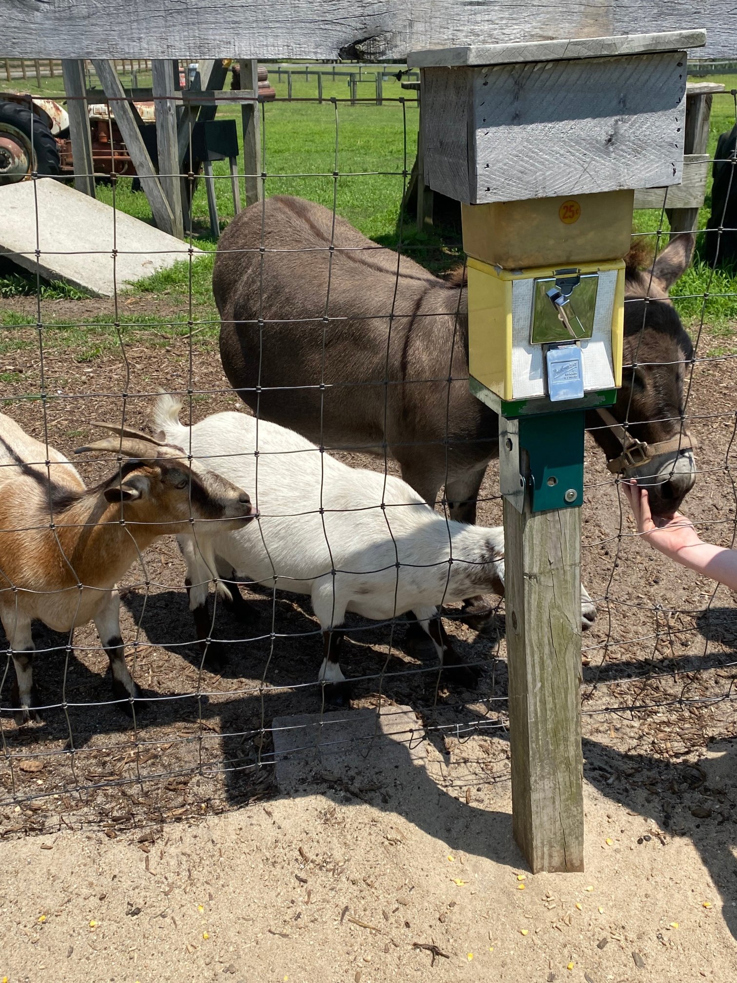 Emery's Farm餐厅图片