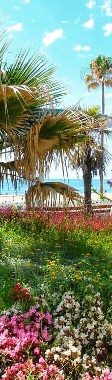 Paseo Maritimo de Estepona-埃斯特波纳