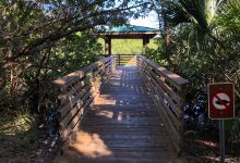 Frenchman's Forest Natural Area景点图片