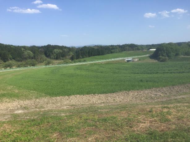 成田ふれあい牧場