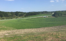 成田ふれあい牧場