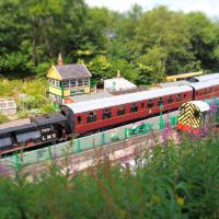 米德索莫诺顿图片