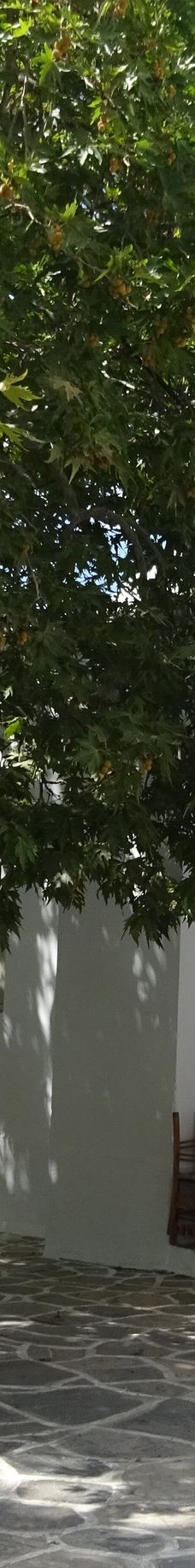 Church of Panagia Filotitissa-菲洛蒂翁