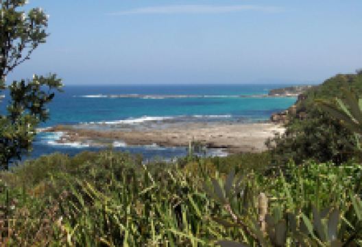 Wyrrabalong National Park景点图片