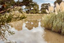 Walter J Smith Reserve景点图片