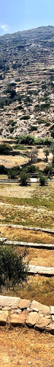 Archaeological Site of Skarkos-伊奥斯