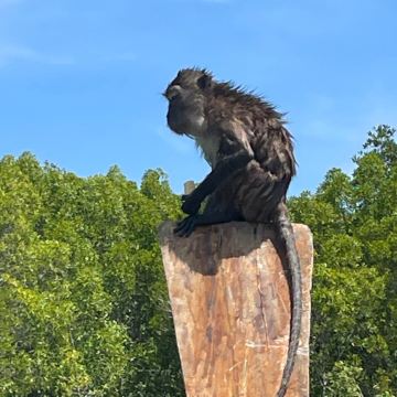 泰国甲米+兰塔岛7日6晚自由行