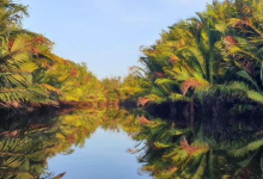 Sungai Kapur景点图片