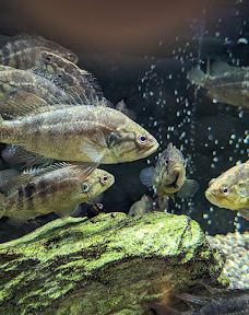 Hita City Cultural Complex AOSE-日田市