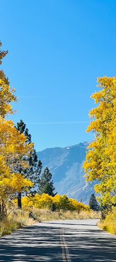 Lundy Lake-莫诺县