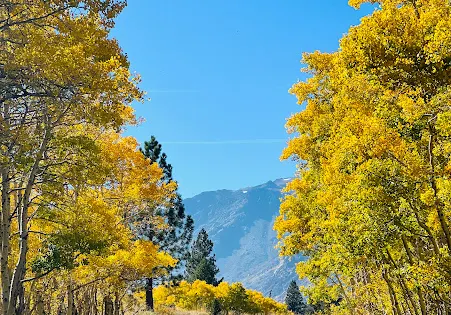 Lundy Lake