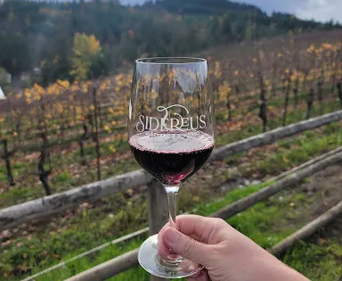 A Blooming Hill Vineyard & Winery