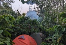 KEBUN KOPI CROSS LABORATORIUM BATANG COFFEE景点图片