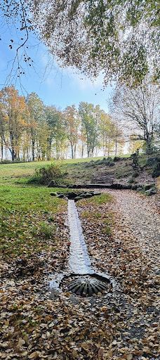 Sankt knuds Kilde-约灵