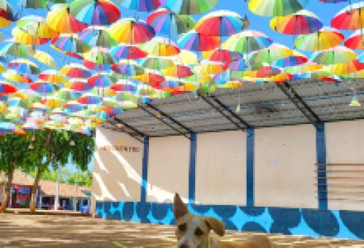 Osicala's Public Park景点图片