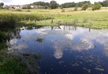 Raw Nook Nature Reserve景点图片