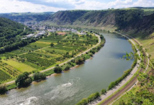Aussichtspunkt Moseltal景点图片