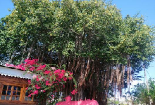 La Maison De L'Inde景点图片