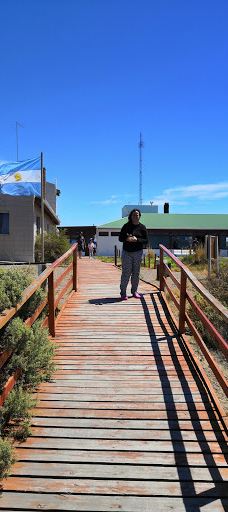 Caleta Valdés-别德马