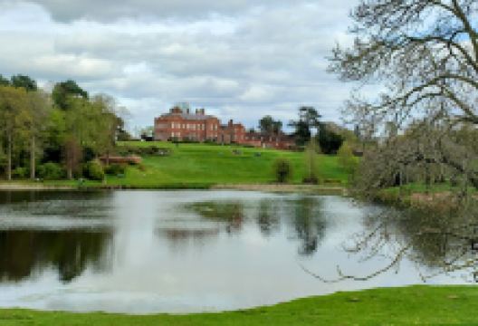 Dudmaston Hall Gardens景点图片