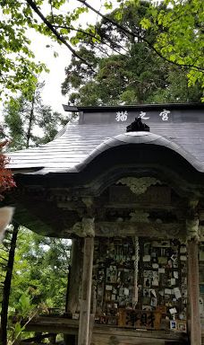 Cat's Shrine-高畠町