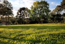 Ouro Verde Exhibition Park景点图片