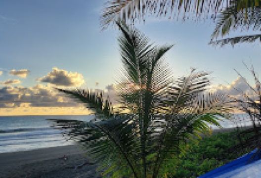 Playa Carate景点图片