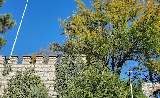 Kestel Kalesi