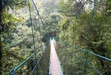 Canopy Trail Ciwalen景点图片
