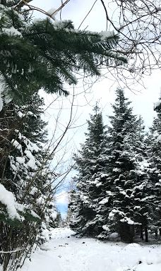 Rokkestenen-伯恩霍尔姆