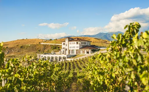 Villa Melnik Winery