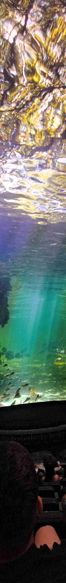 拉斯维加斯-YoYo_2V5V9Q7T