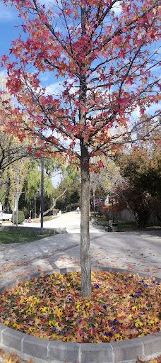 塞格门勒公园-安卡拉