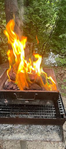 Pinery Provincial Park-大本德