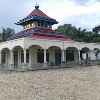 Tiumang图片