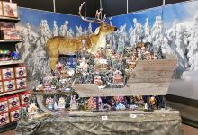 Intratuin Weert购物图片