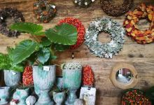 De Groene Hoeve购物图片