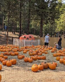 苹果山-埃尔多拉多县
