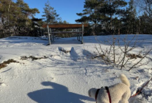 Utsikten景点图片