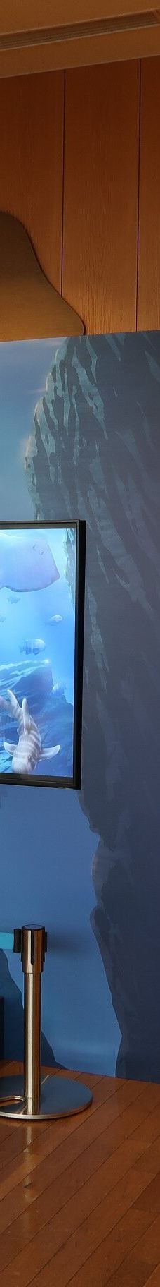 仙台海洋森林水族馆-仙台