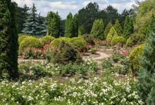 Kryvyi Rih Botanical Gardens景点图片