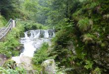 Schwarzwald Hochstrasse景点图片