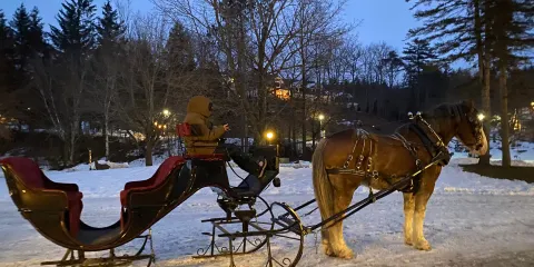 Nestlenook Estate & Resort Sleigh Rides