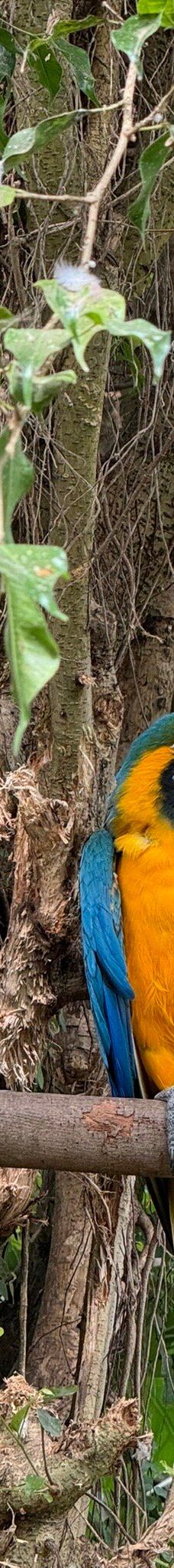 Butterfly Park Empuriabrava-Alt Emporda