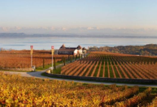 Domaine de Chambleau景点图片